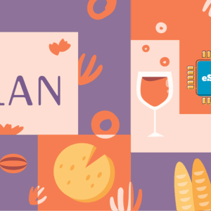 France 1 GB - 7 Days